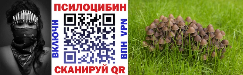 Псилоцибиновые грибы Psilocybe Духовщина
